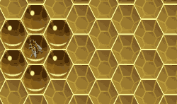 Bee with honey around it.