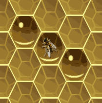 Bee moved, and toggled wich cells have honey.