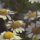 [4]